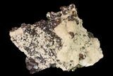 Translucent Sphalerite on Calcite, Pyrite and Chalcopyrite - Peru #141835-1